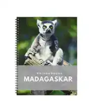 REISDAGBOEK MADAGASKAR