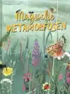 MAGISCHE METAMORFOSEN