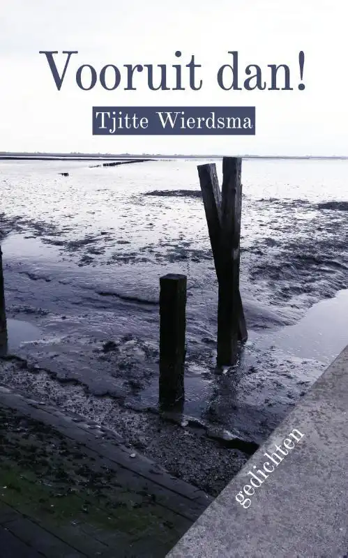 VOORUIT DAN