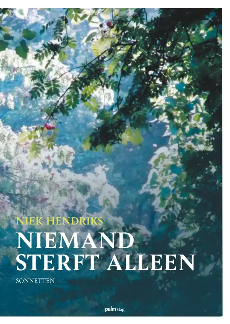 NIEMAND STERFT ALLEEN