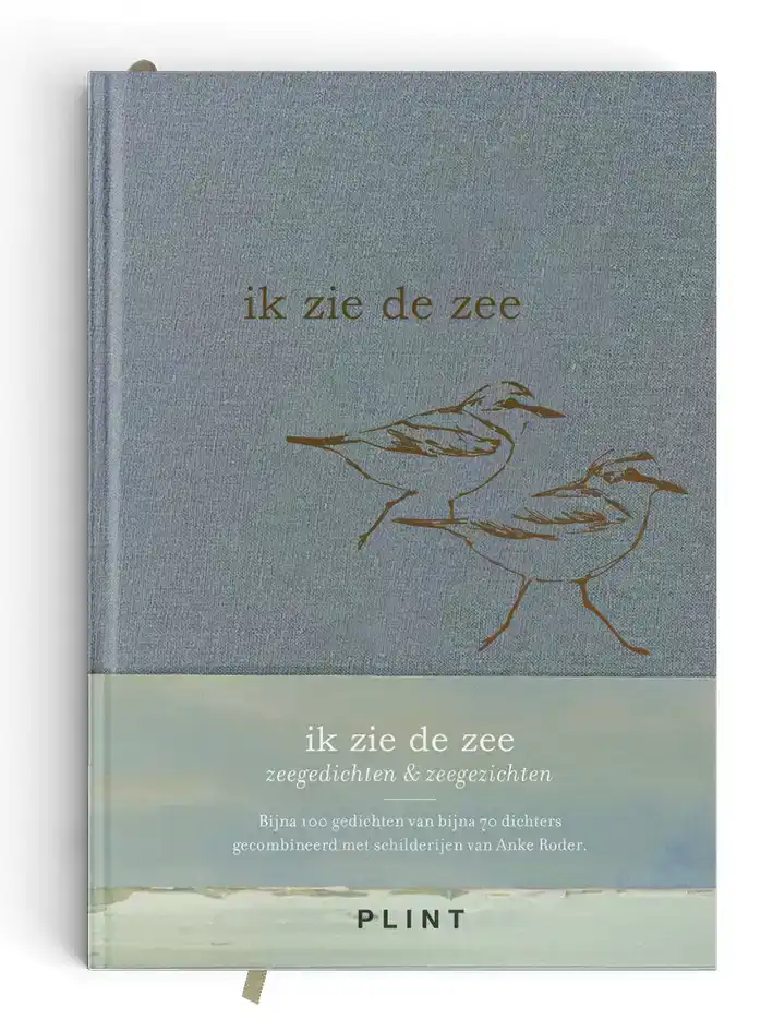IK ZIE DE ZEE