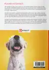 DENKSPORT - HET QUEST PUZZELBOEK