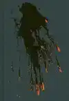 THE WIZARD OF AWE