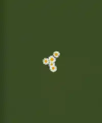 YOU DON'T NEED SOIL TO GROW