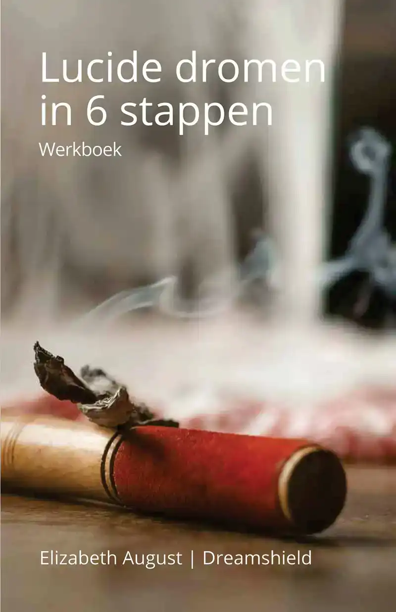 LUCIDE DROMEN IN 6 STAPPEN