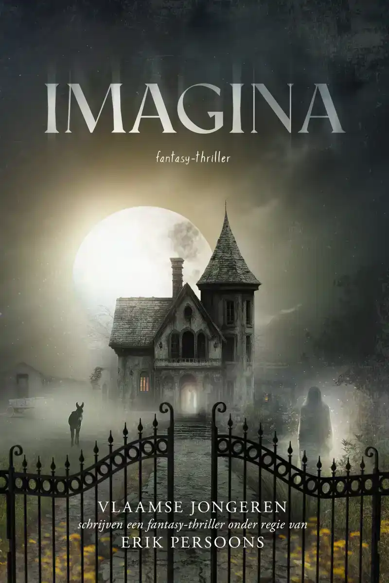 IMAGINA