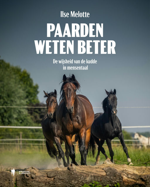 PAARDEN WETEN BETER