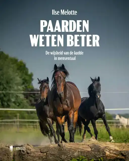 PAARDEN WETEN BETER