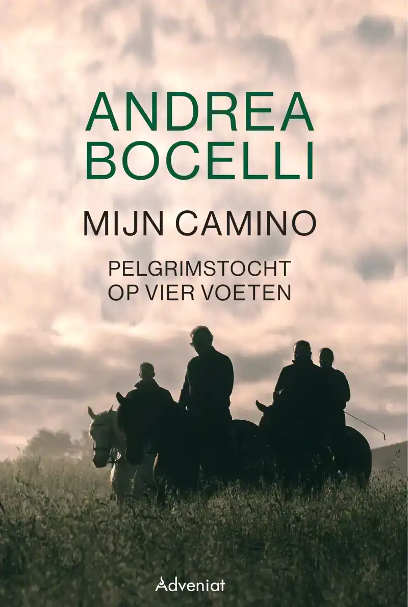 MIJN CAMINO