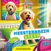 MEESTERBREIN STEIN