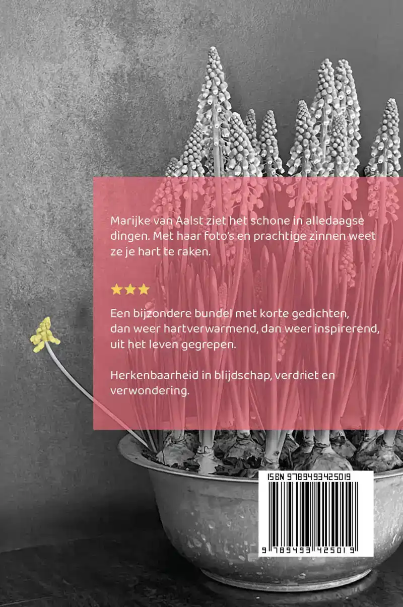 IN IEDER BEELD HUIST EEN STEM