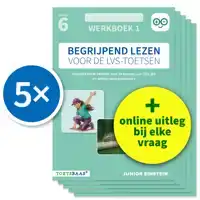 BEGRIJPEND LEZEN VOOR DE LVS-TOETSEN - GROEP 6 - WERKBOEK 1