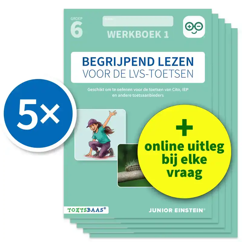 BEGRIJPEND LEZEN VOOR DE LVS-TOETSEN - GROEP 6 - WERKBOEK 1