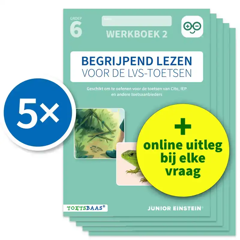 BEGRIJPEND LEZEN VOOR DE LVS-TOETSEN - GROEP 6 - WERKBOEK 2