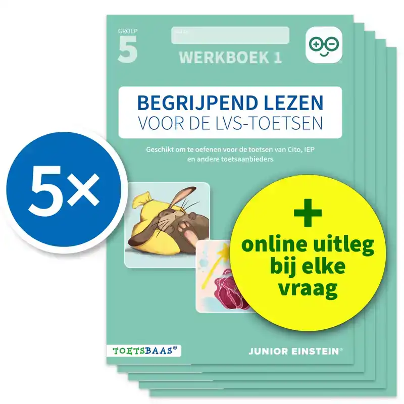 BEGRIJPEND LEZEN VOOR DE LVS-TOETSEN - GROEP 5 - WERKBOEK 1