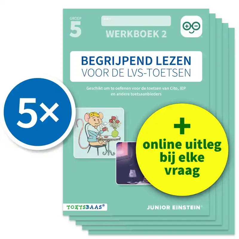 BEGRIJPEND LEZEN VOOR DE LVS-TOETSEN - GROEP 5 - WERKBOEK 2