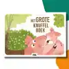 HET GROTE KNUFFELBOEK | KAMISHIBAI VERTELPLATEN