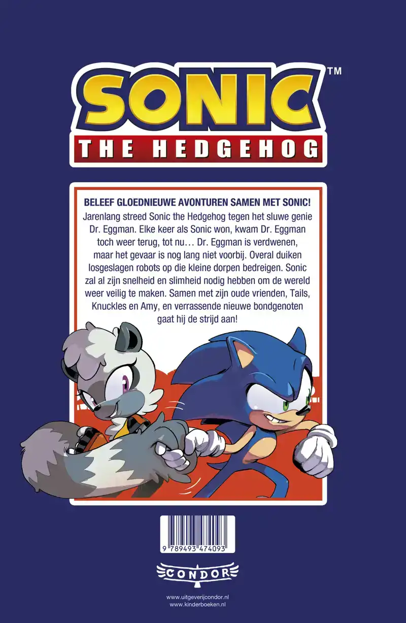 SONIC THE HEDGEHOG TEGEN HET ROBOTLEGER