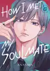 HOW I MET MY SOULMATE 6