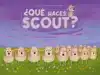 QUE HACES, SCOUT