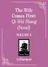 Wife Comes First: Qi Wei Shang (Novel) Vol. 3