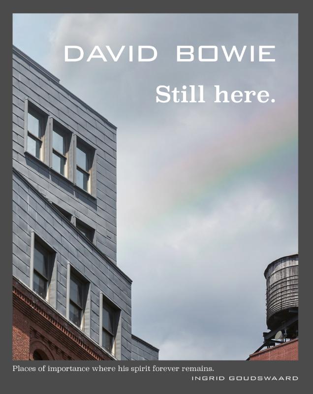 DAVID BOWIE STILL HERE