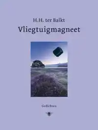 VLIEGTUIGMAGNEET / DRUK 1