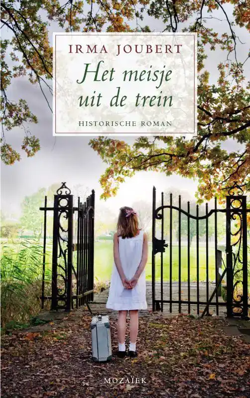 HET MEISJE UIT DE TREIN