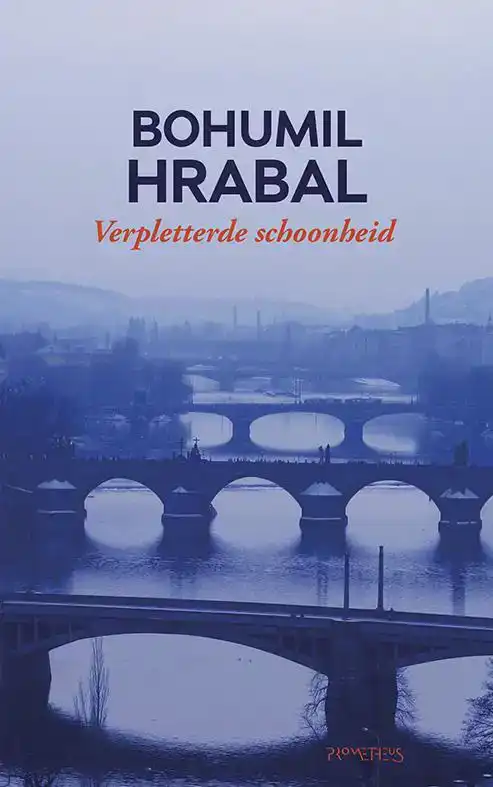 VERPLETTERDE SCHOONHEID