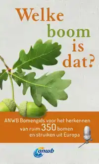 WELKE BOOM IS DAT?