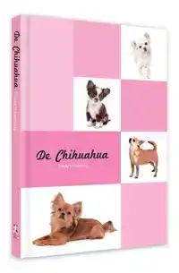 DE CHIHUAHUA