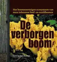 DE VERBORGEN BOOM