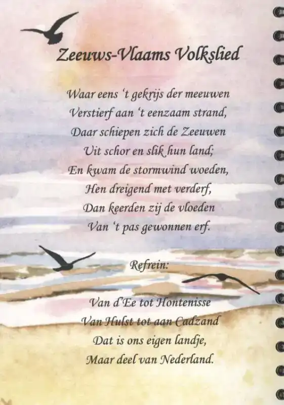 WAAR 'T GEKRIJS DER MEEUWEN