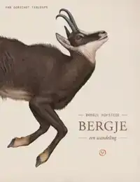 BERGJE