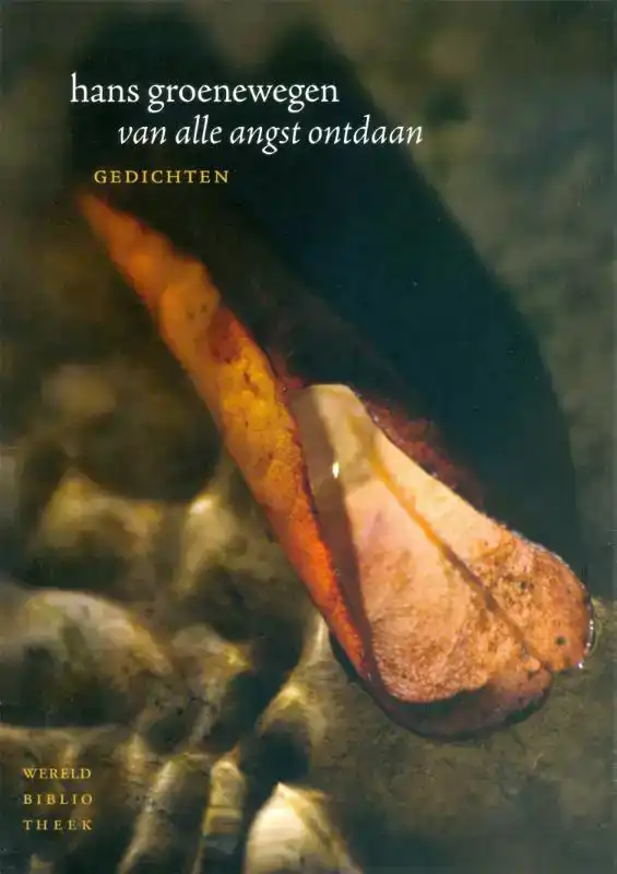 VAN ALLE ANGST ONTDAAN