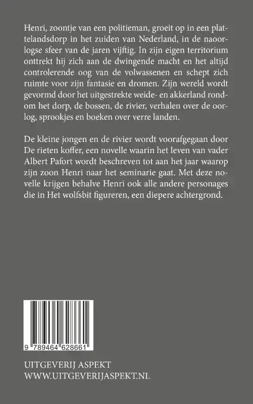 DE KLEINE JONGEN EN DE RIVIER