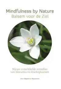 STAR REMEDIES - MINDFULNESS BY NATURE - BALSEM VOOR DE ZIEL