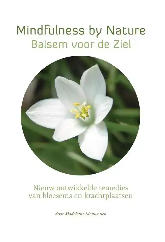 STAR REMEDIES - MINDFULNESS BY NATURE - BALSEM VOOR DE ZIEL