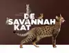 DE SAVANNAH KAT