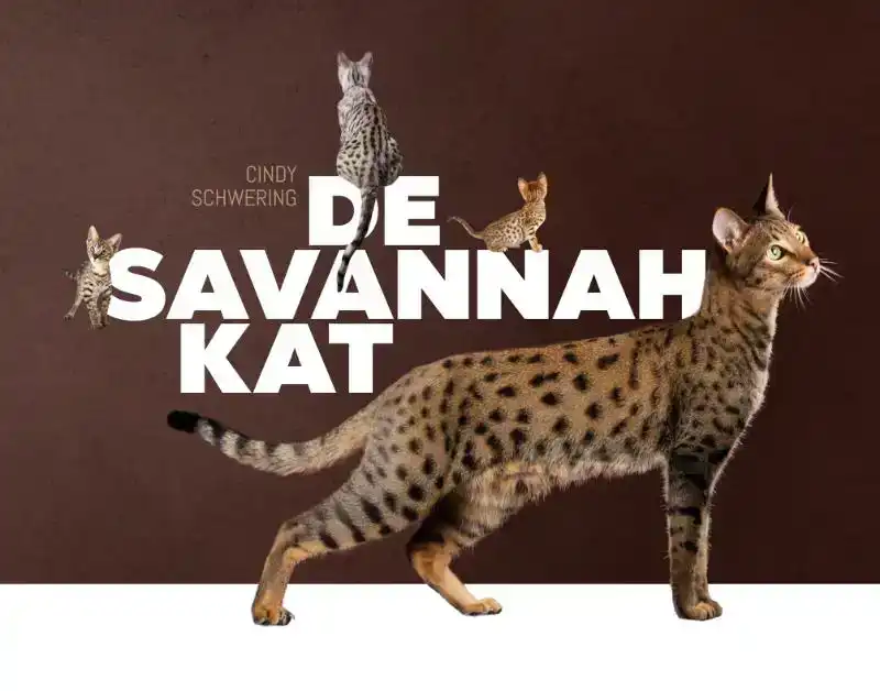 DE SAVANNAH KAT