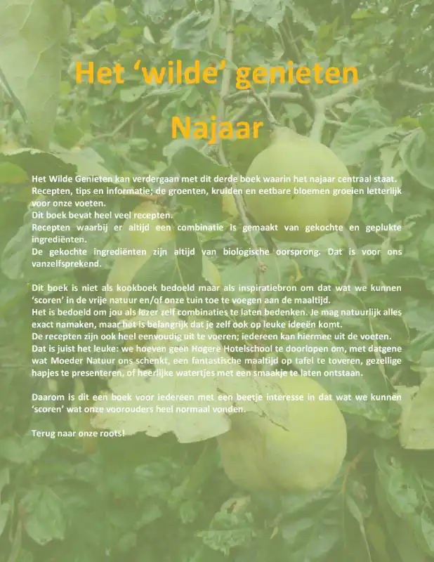 HET WILDE GENIETEN - NAJAAR