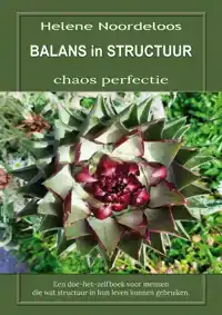 BALANS IN STRUCTUUR