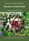BALANS IN STRUCTUUR