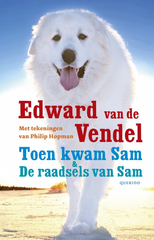 TOEN KWAM SAM & DE RAADSELS VAN SAM