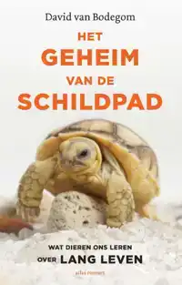 HET GEHEIM VAN DE SCHILDPAD