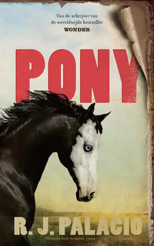 PONY