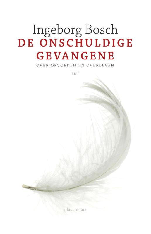 DE ONSCHULDIGE GEVANGENE