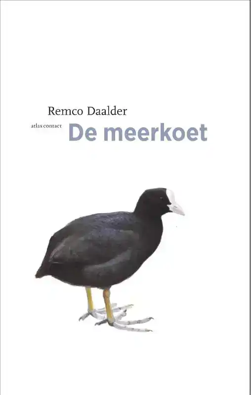 DE MEERKOET