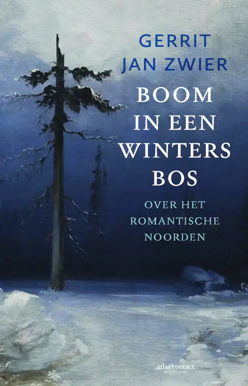 BOOM IN EEN WINTERS BOS