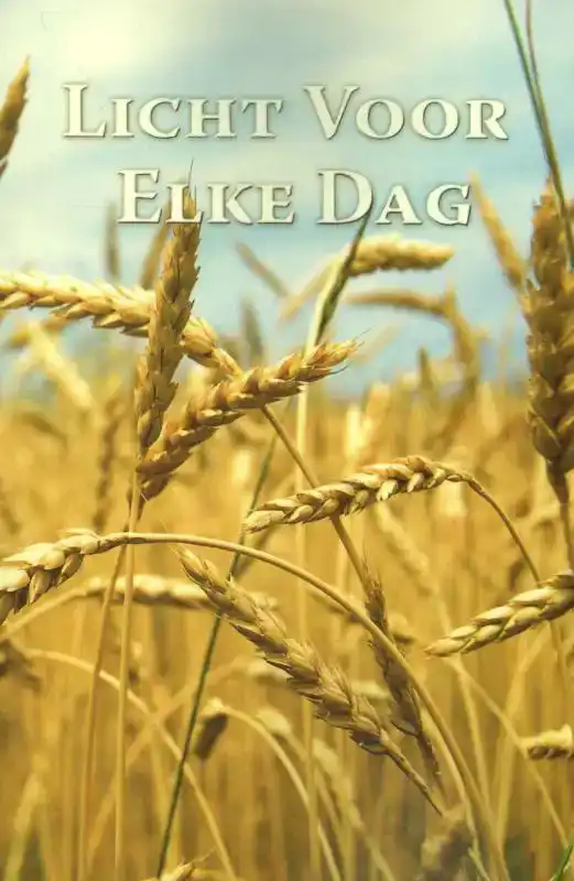 LICHT VOOR ELKE DAG
